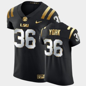 Cade York Tigers Men Golden Edition Elite Football #36 Jersey - Black 352209-448